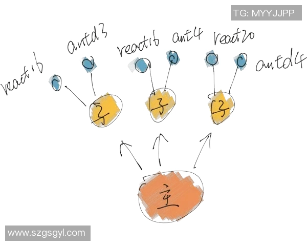 探索vs17信号版的强大功能与应用场景全面解析