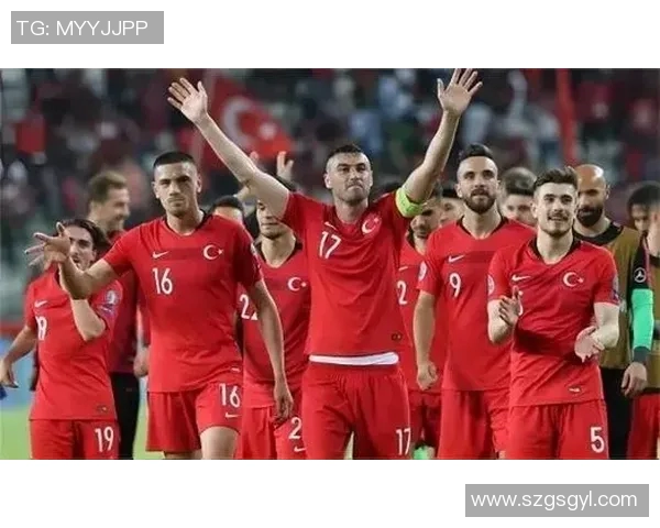 芬兰与亚美尼亚足球对决分析及赛前预测